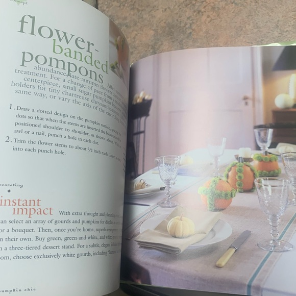 Better Homes & Gardens Halloween Decorating Pumpkins and Gourds Book - Picture 9 of 14